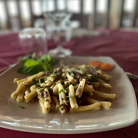 Belmonte Ranch 农家乐 *