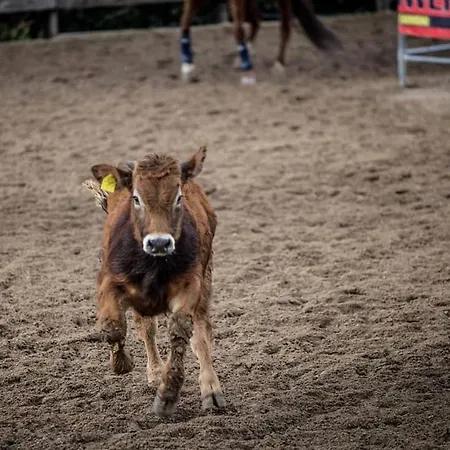 Belmonte Ranch 农家乐 Belmonte Castello