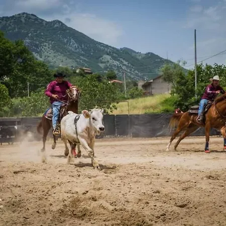ファームステイ Belmonte Ranch Belmonte Castello