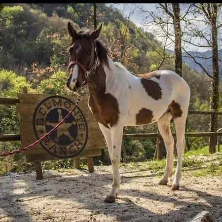 Belmonte Ranch Κατάλυμα σε φάρμα *