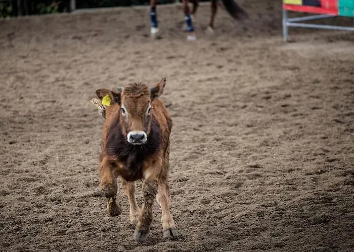 Belmonte Ranch Κατάλυμα σε φάρμα Belmonte Castello
